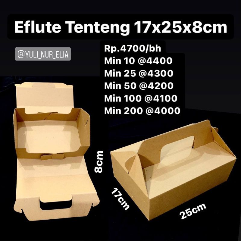 Jual Box Eflute Tenteng 17x25x8cm | Shopee Indonesia