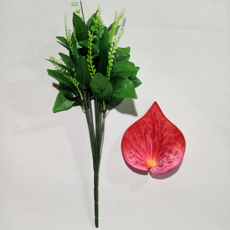 Jual Bunga Anthurium Aron Panda Keladi Kuntum Tanpa Pot Shopee Indonesia