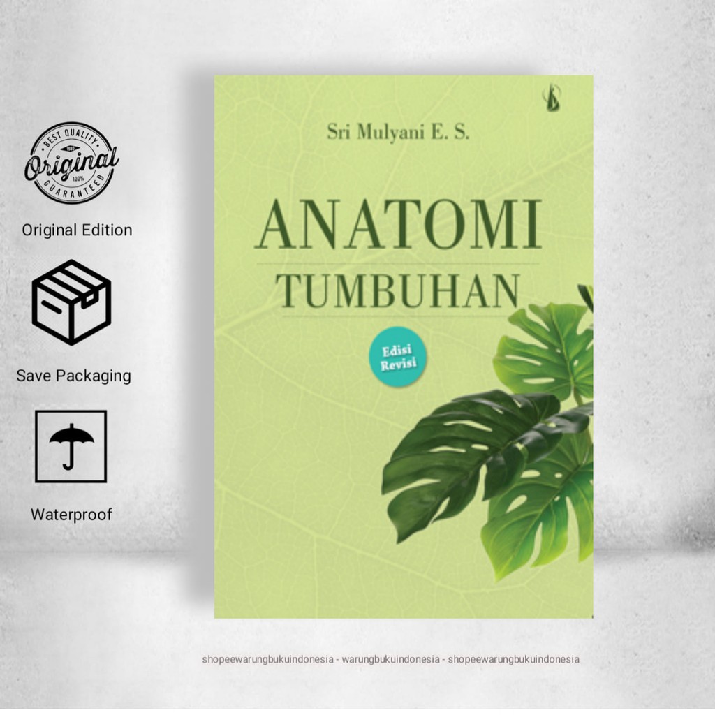 Jual Anatomi Tumbuhan - Sri Mulyani | Shopee Indonesia