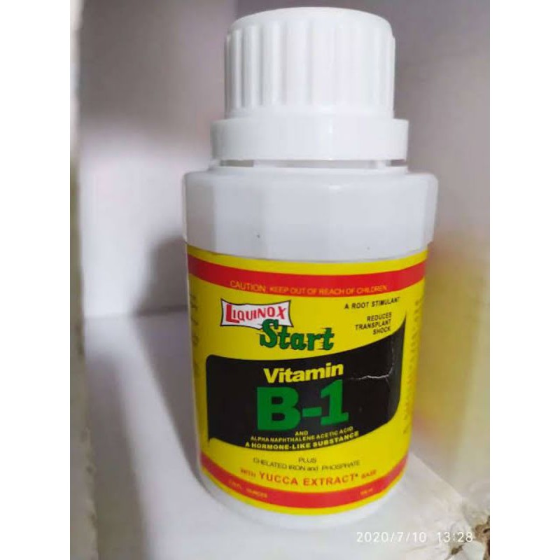 Jual Vitamin B1 Tanaman 100ML Liquinox Star Original Anti Stres Tanaman ...