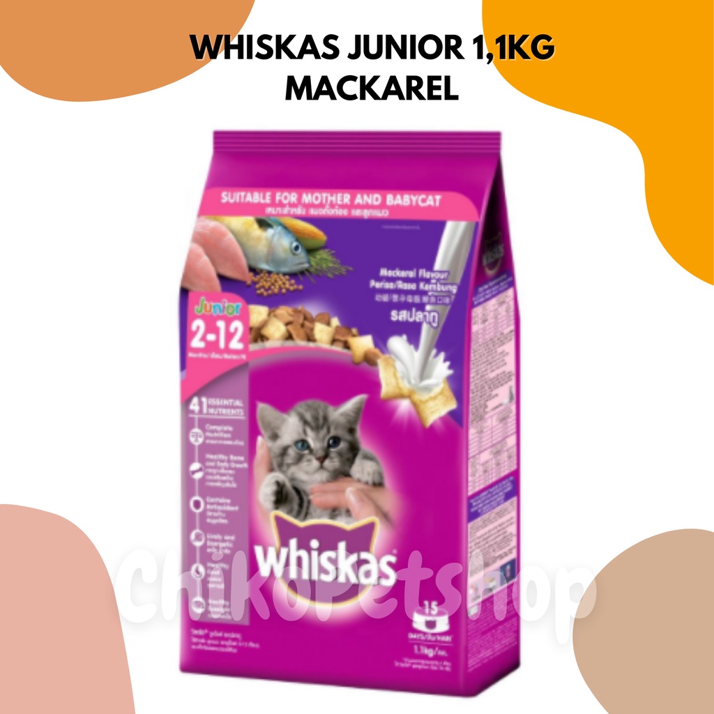 Jual WHISKAS JUNIOR Kitten Food whiskas junior/ wiskas junior kitten