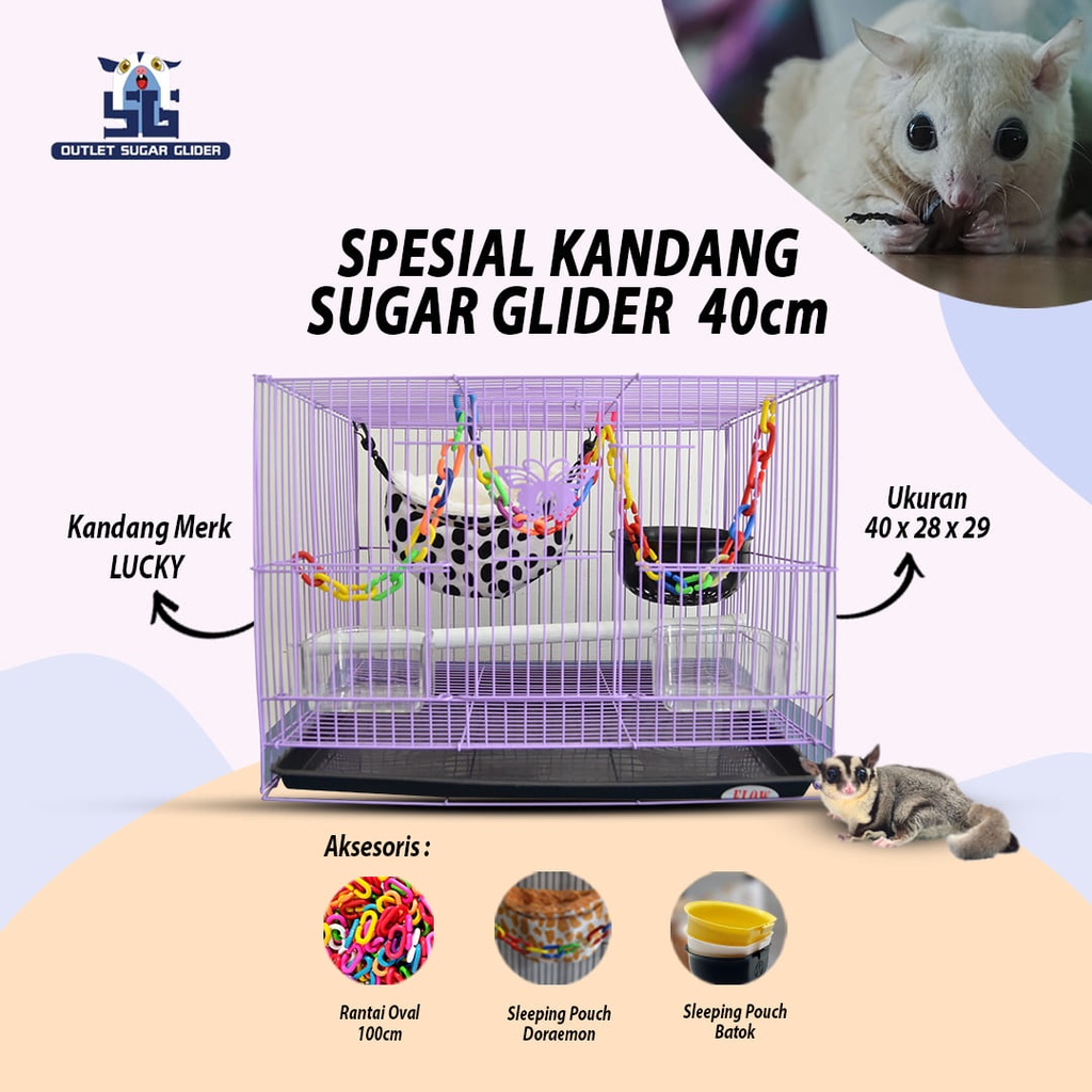 Jual SPESIAL PAKET KANDANG SUGAR GLIDER 40CM Shopee Indonesia