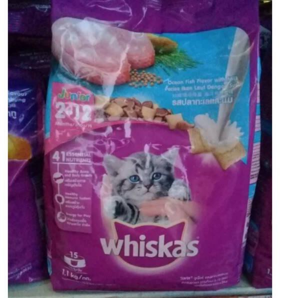 Jual Whiskas Junior Ocean Fish with Milk 1.1 Kg Dry Cat Food Makanan