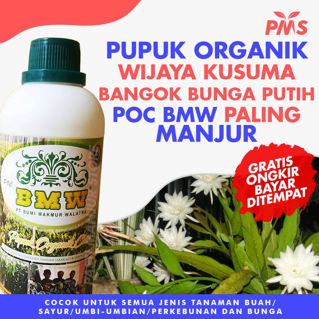 Jual Pupuk Organik Cair POC BMW Tanaman Hias Murah Bunga WIJAYA KUSUMA ...