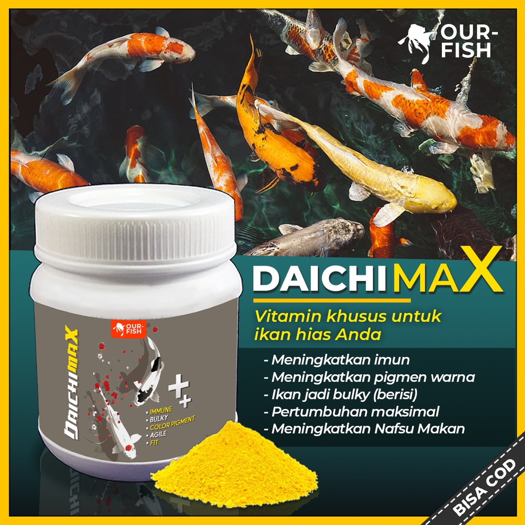 Jual Vitamin Ikan Koi DAICHI MAX Koi Kohaku Showa Platinum Slayer Import Jumbo Blitar Platinum