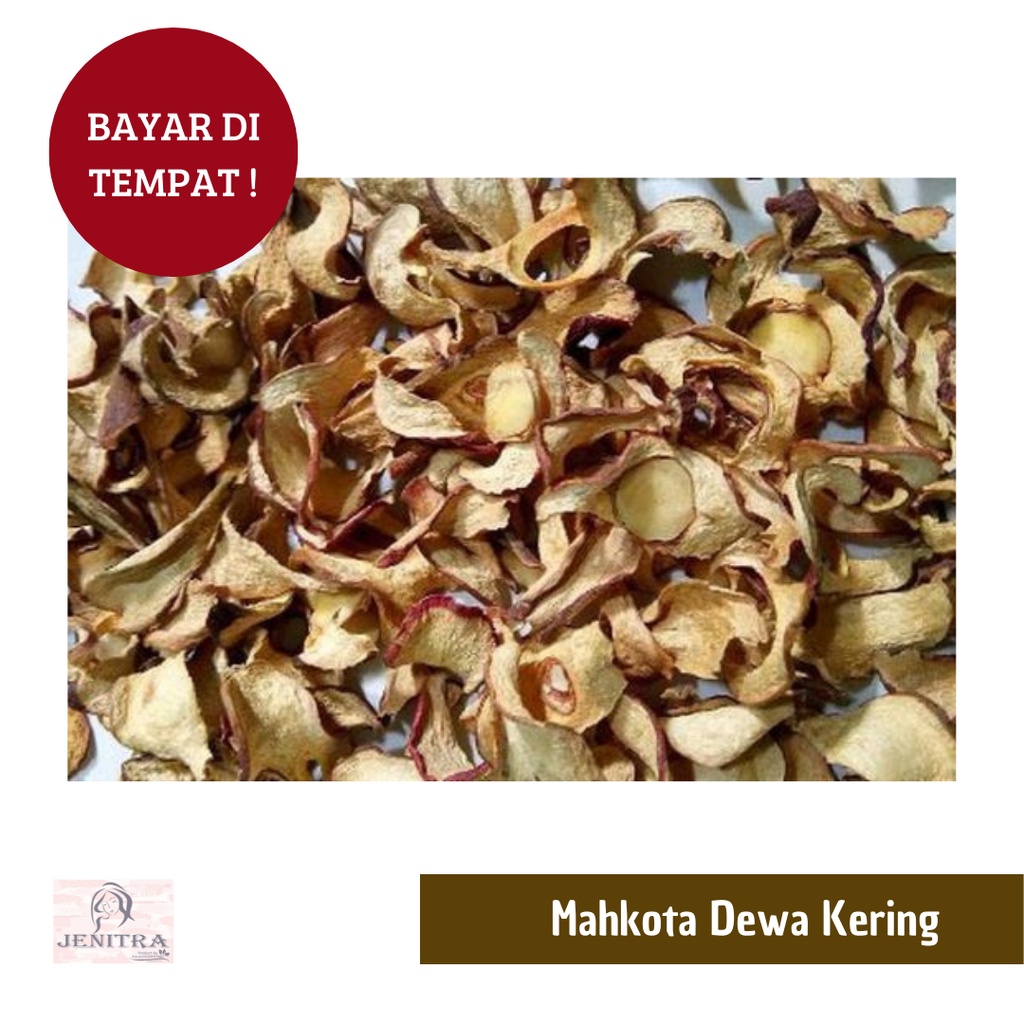 Jual Buah Mahkota Dewa Kering 1 Kg 500 Gr Bisa Cod Bayar Di Tempat