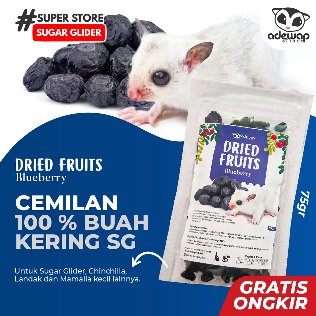 Jual Dried Blueberry Fruit / Camilan Buah Kering Sugar Glider Hamster