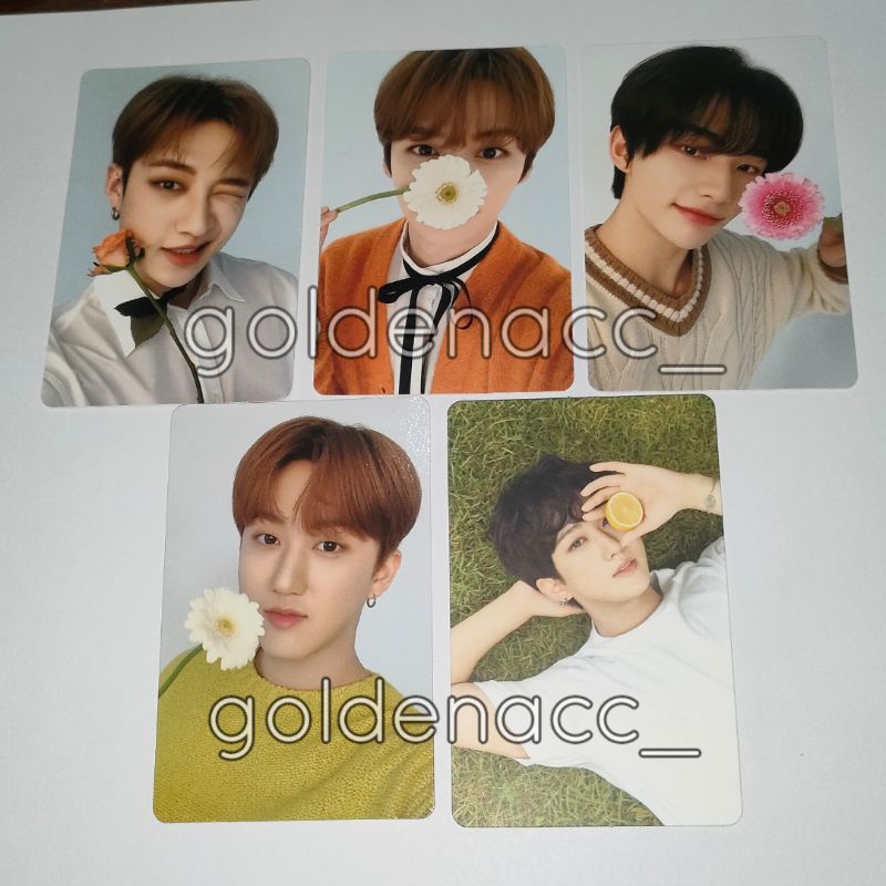 Jual pc nacific stray kids r1 r10 r11 bang chan lee know lino changbin ...