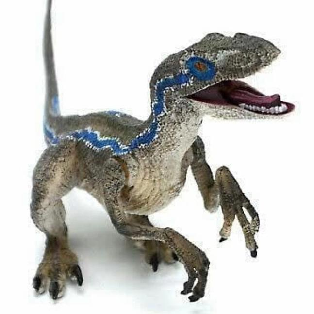 Jual Dinosaurus Jurassic Dino World Raptor Velociraptor Blue Park ...