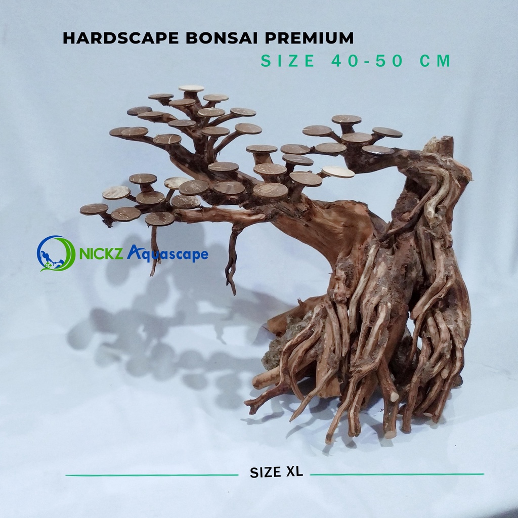 Jual Hardscape Bonsai Size 50 Up For Aquarium Aquascape Shopee Indonesia