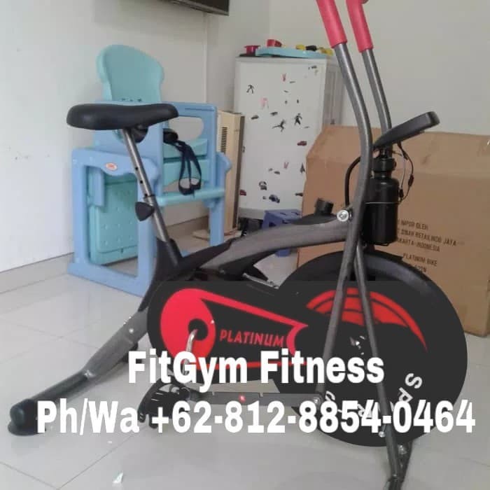 Jual Sepeda Statis Platinum Bike TL8207 Cycle Dual Motion TL 8207 ...