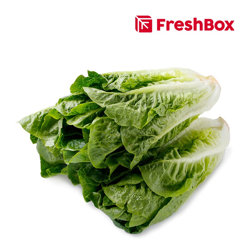 Jual Romaine Lettuce 500gr FreshBox Shopee Indonesia