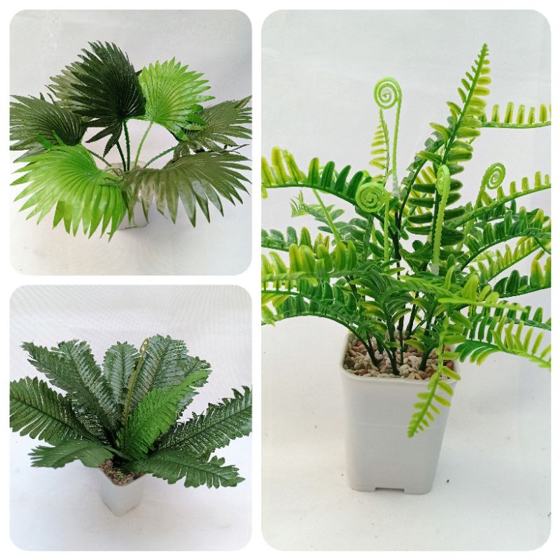 Jual Daun pakis besi sikas artificial pot kotak sofi 8 cm | Shopee ...