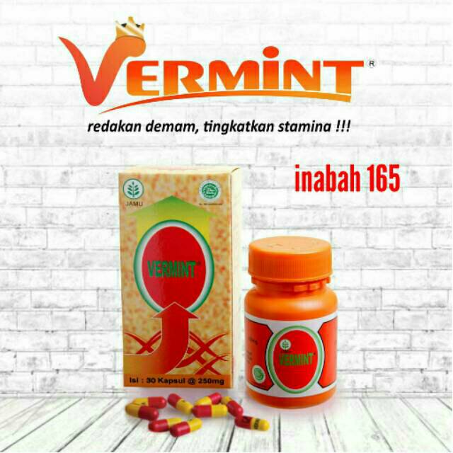 Jual Vermint 30 Kapsul 12 Kapsul Obat Cacing Obat Maag Asam Lambung