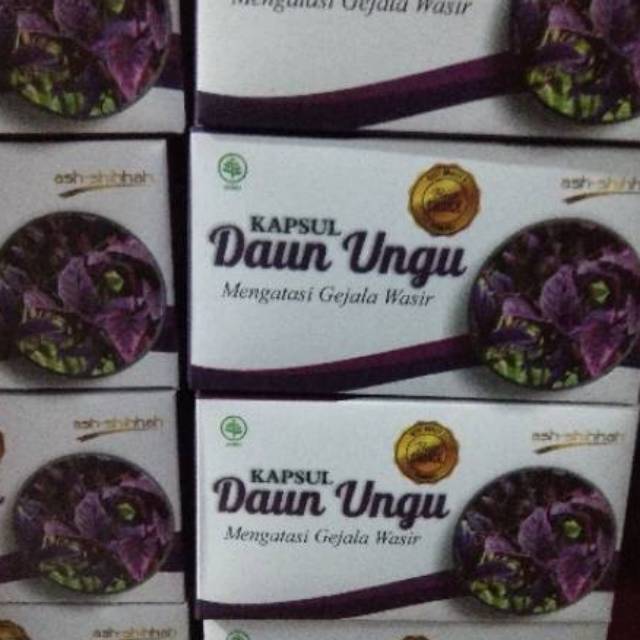 Kapsul Daun Ungu/ Wungu Ampuh Herbal Gejala Wasir Ambeien