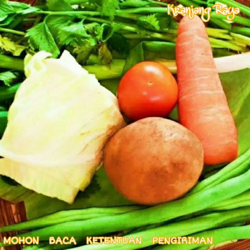 Jual Paket Sayur Sop Bungkus Shopee Indonesia