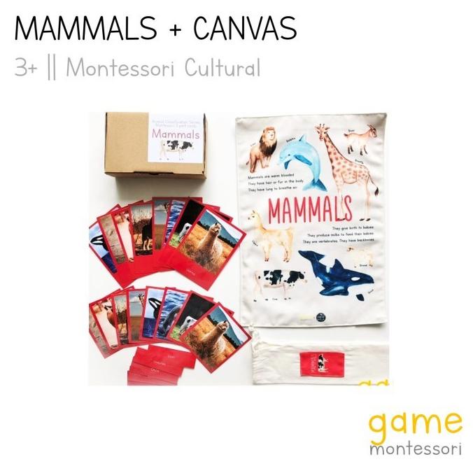 Jual Montessori Animal Classification Mammals, Fish, Insects | Shopee ...