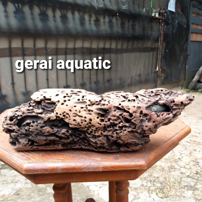 31.5 inch - Wave DRIFTWOOD - 80cm - Indonesia - NEW923 - #9F