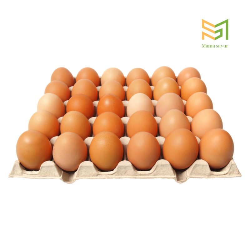 Jual Telur ayam ras negeri premium | Shopee Indonesia