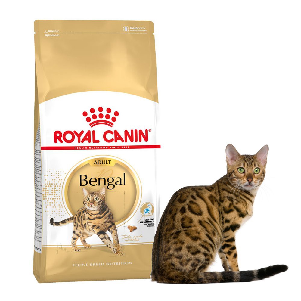 Jual ROYAL CANIN BENGAL 2KG DRY CAT FOOD / MAKANAN KERING KUCING BENGAL ...