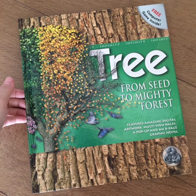 Jual Tree from seed to mighty forest buku bbw | Shopee Indonesia