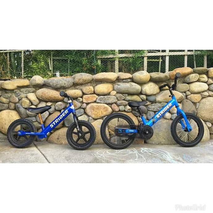 Jual Strider Bike 14 x 14x Balance Bike 2in1 pedal push bike sepeda ...