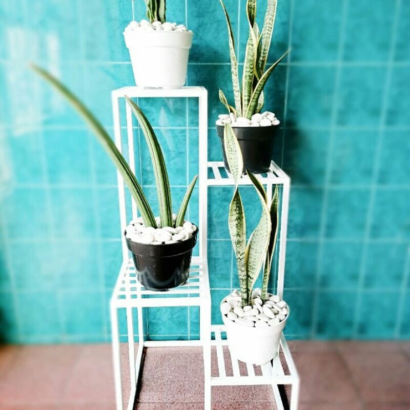 Jual Rak bunga 4 susun Hollo alas plat strip tinggi 80cm | Shopee Indonesia
