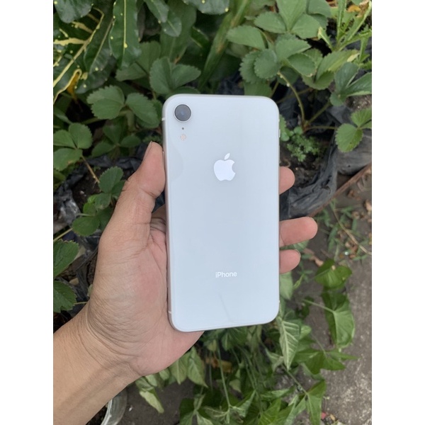 Jual iphone XR 128 white no minus mulus fullset | Shopee Indonesia