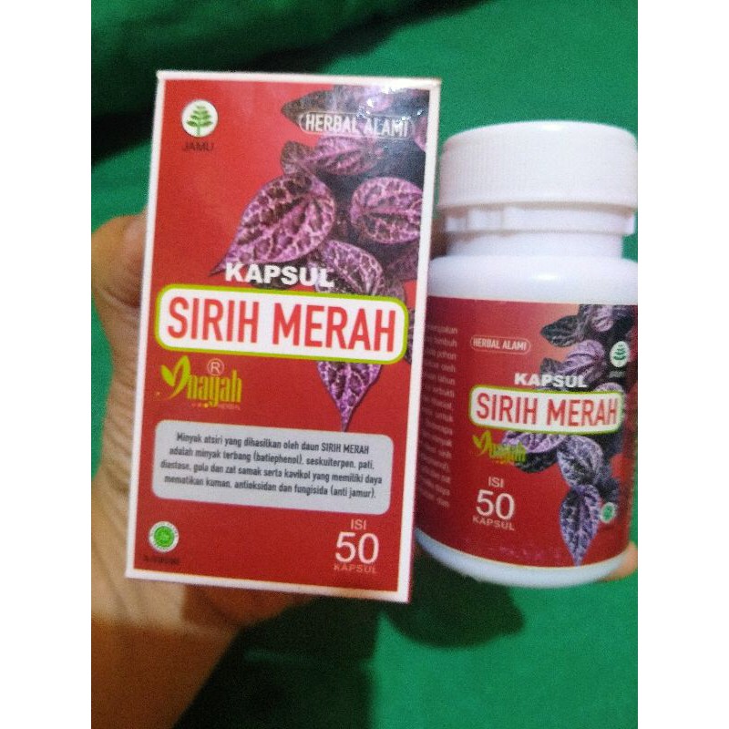 Jual Kapsul Daun Sirih Merah Inayah Isi 50 Kapsul Shopee Indonesia 8957