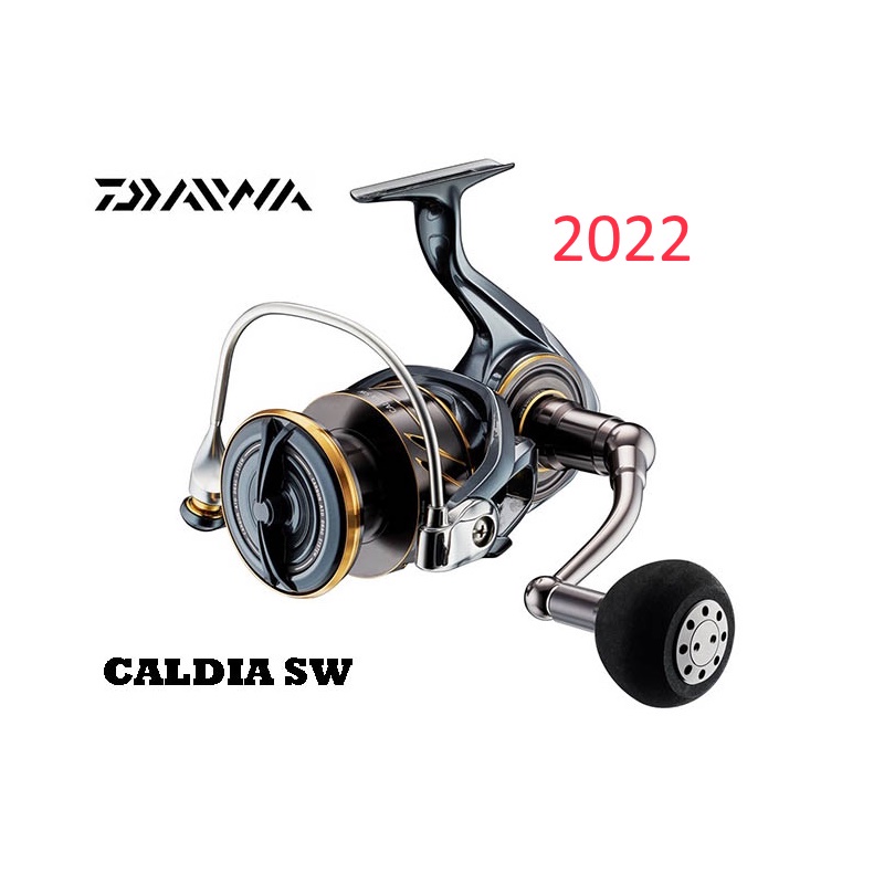 Moulinet à Pêche Daiwa 22 CALDIA SW 10000-H - Neuf - Fabriqué Au Japon