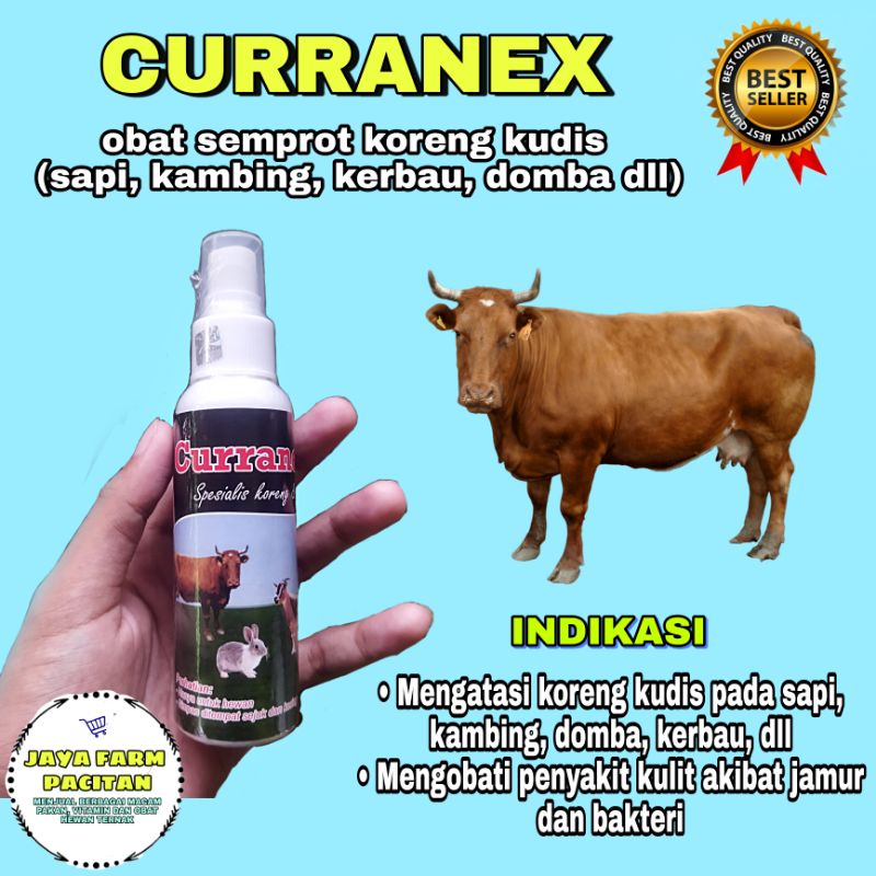 Jual BARU!! CURRANEX OBAT KORENG KUDIS SAPI, KAMBING, KERBAU, DOMBA DLL ...