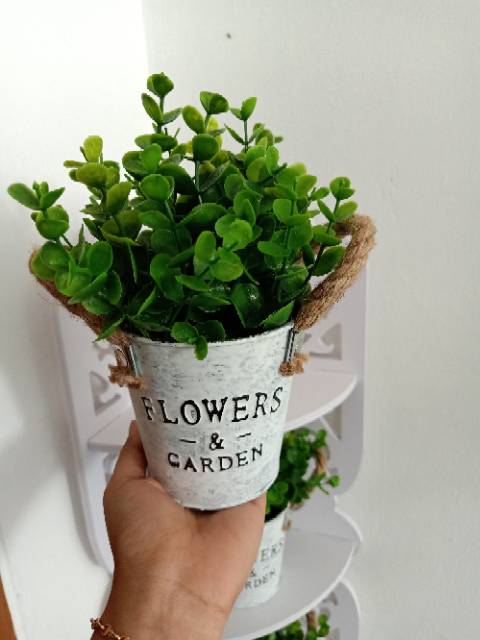 Jual Ember goni ekaliptus bunga dollar hiasan rumah pot bunga pajangan ...