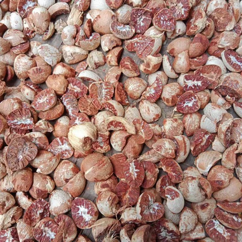 Jual Buah Pinang/Jambe Kering Jemur Matahari 200gr | Shopee Indonesia