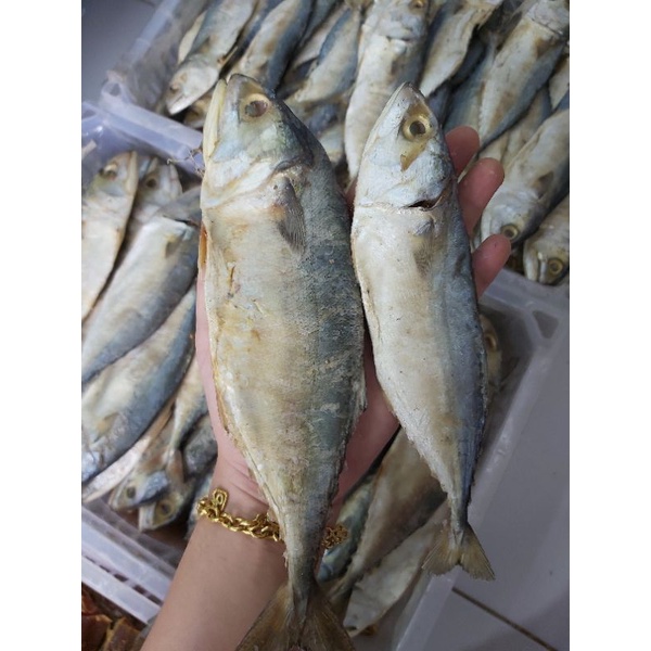 Jual Ikan Asin Peda Putih Kg Shopee Indonesia