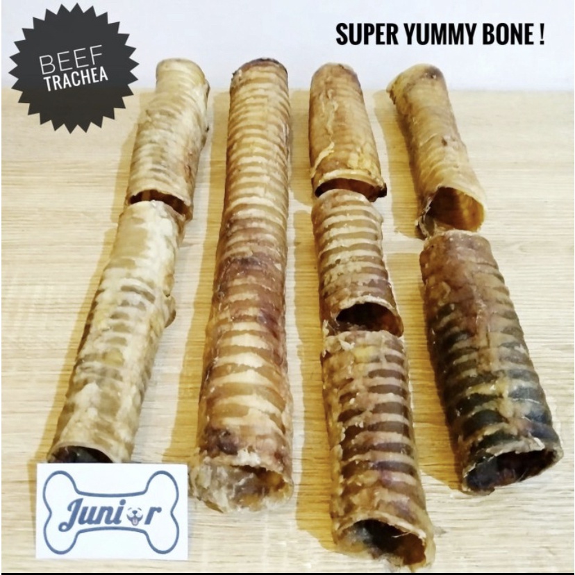 Jual Beef Trachea Dog Snack / Snack Makanan Anjing / Trakea Sapi ...