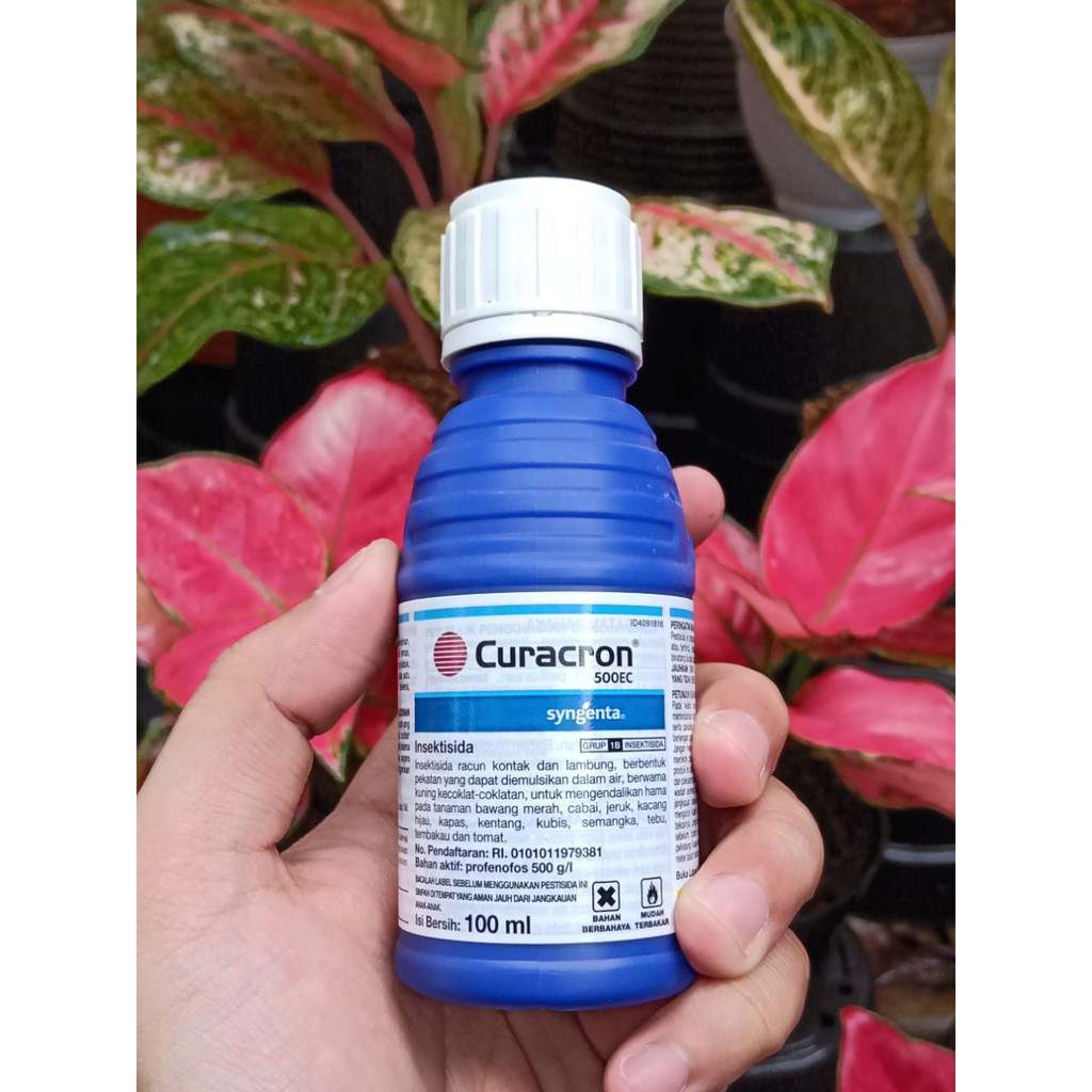 Jual Obat Curacron Ec Insektisida Shopee Indonesia