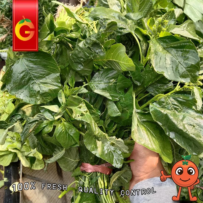 Jual Sayur Bayam Hijau Pecel Ikat Shopee Indonesia