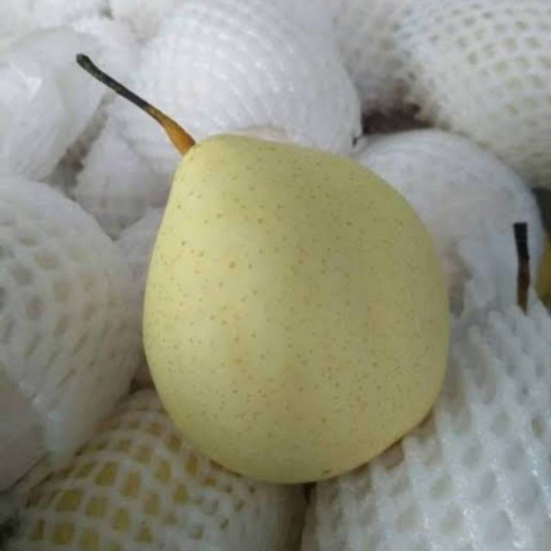 Jual Pear Yalie Buah Pir Murah Buah Pear Segar 1kg Shopee Indonesia 