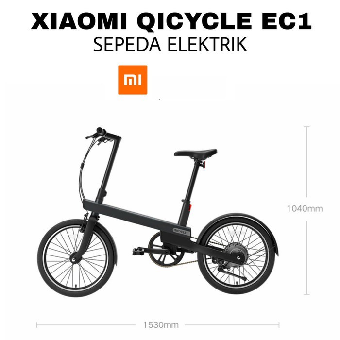 Qicycle ec1 2025