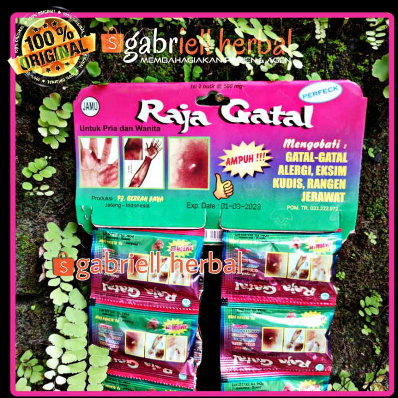 Jual kapsul RAJA GATAL rajagatal original | Shopee Indonesia