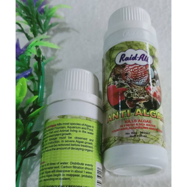 Jual Ianti Algae Obat Pembasmi Lumut Aquarium Raid All Ml Shopee Indonesia