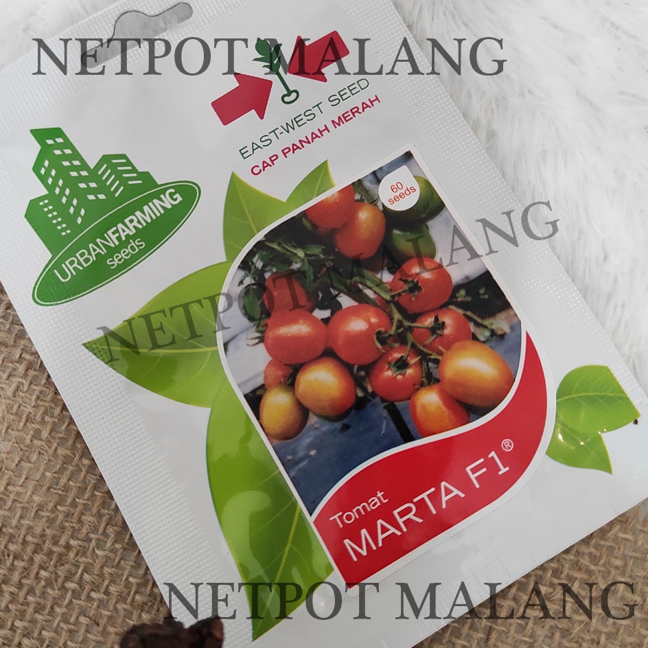 Jual Benih Tomat Marta Cap Panah Merah Urban Farming Seed Original ...