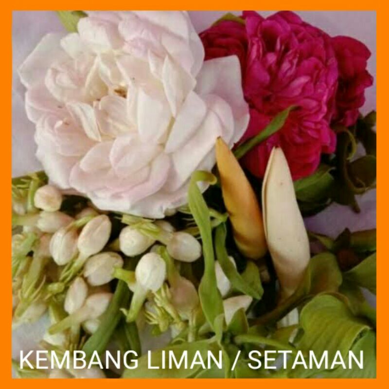 Jual kembang liman kembang lima macam kembang setaman | Shopee Indonesia