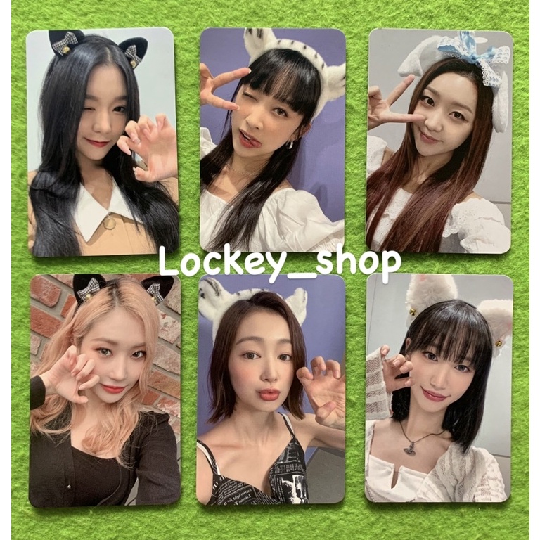 Jual Photocard Exclusive Benefit Makestar R6 Animal Secret Number ...