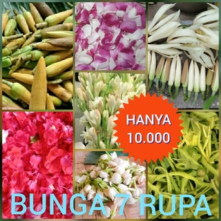 Jual kembang 7 rupa kembang wangi bunga tujuh rupa paket murah | Shopee ...