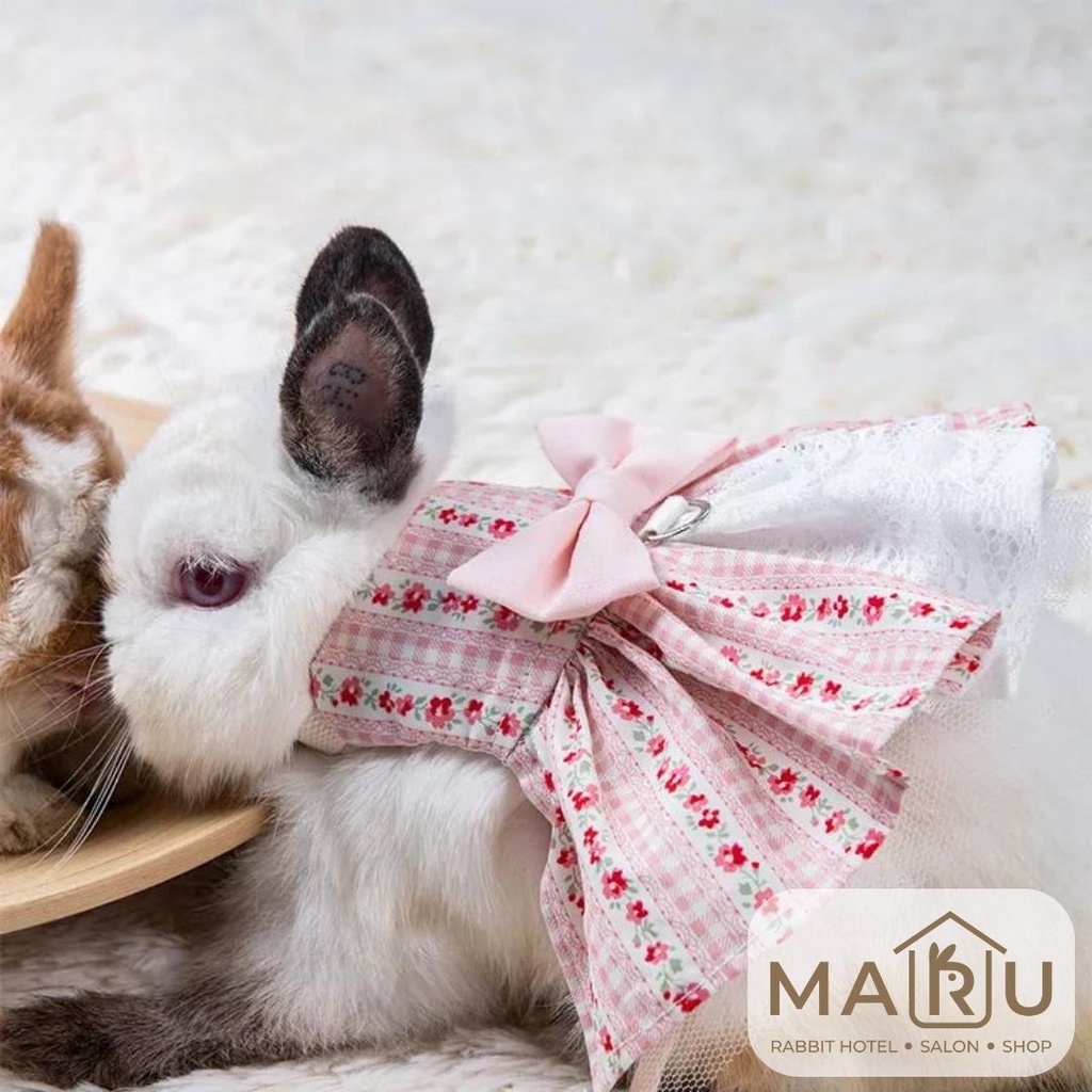 Jual BAJU KELINCI / RABBIT CLOTHES 1004 | Shopee Indonesia