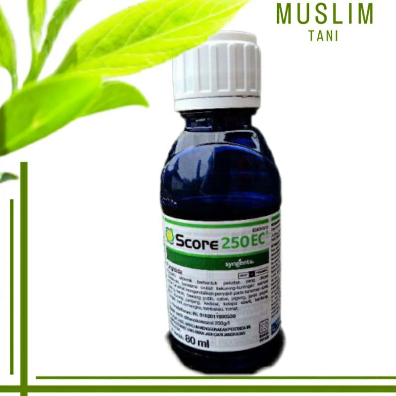 Jual SCORE 80ML | Shopee Indonesia