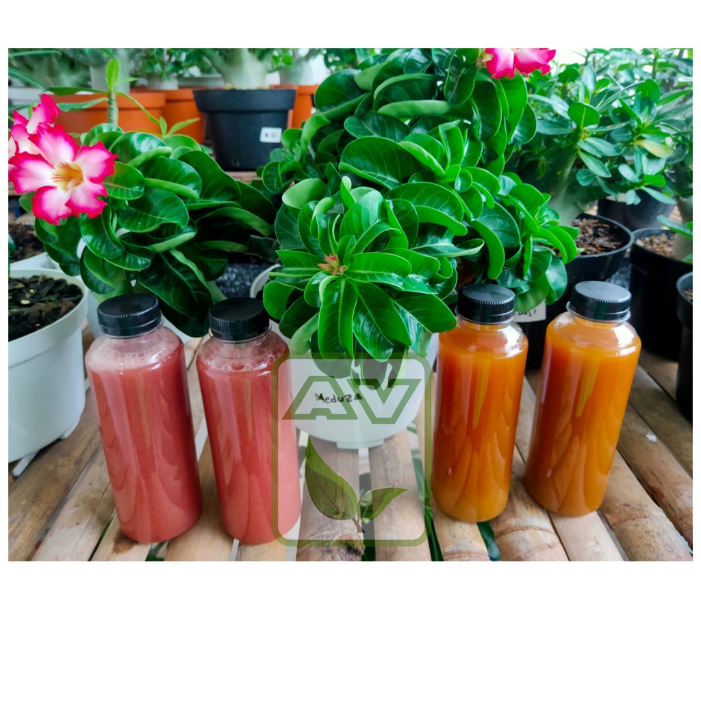 Jual PSB Dan POC Buah Bunga Bakteri Fotosintesis Pupuk Organik Cair Photosynthetic