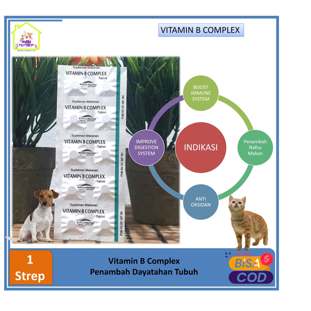 Jual vitamin kucing b complex - vitamin b complex hewan - menjaga ...