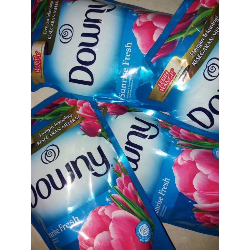 Jual Downy Pewangi 700ml | Shopee Indonesia